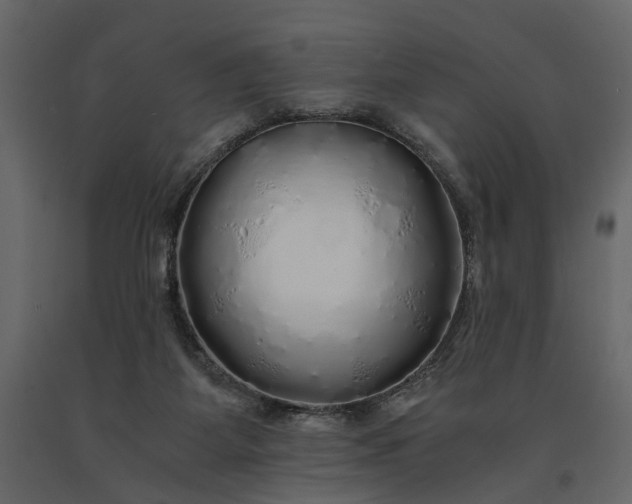 X0000091180115200708231538