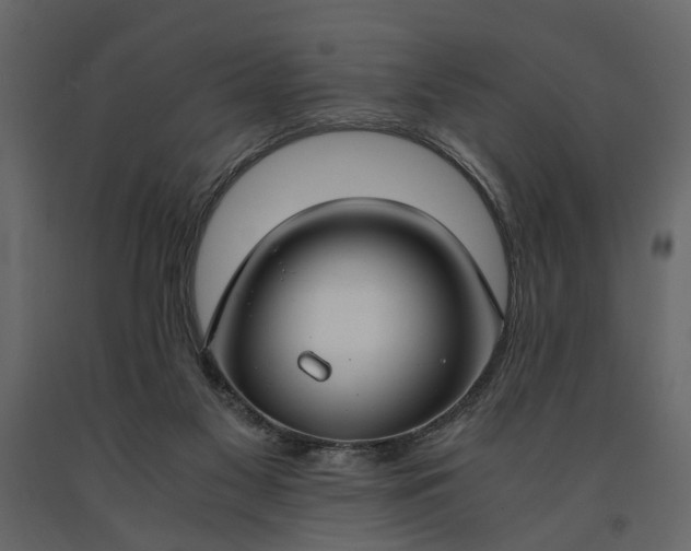 X0000091180117200708231538