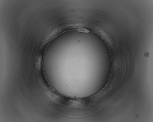 X0000091180118200708231538