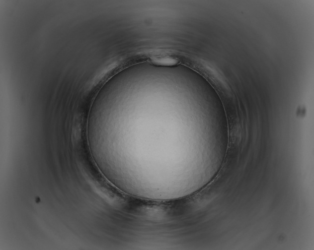 X0000091180120200708231538