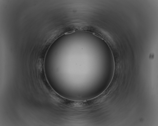 X0000091180121200708231537