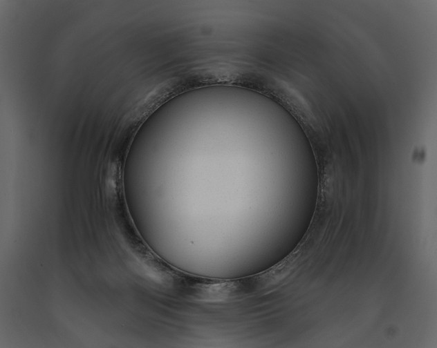 X0000091180122200708231537