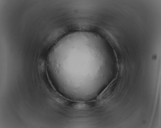 X0000091180123200708231537