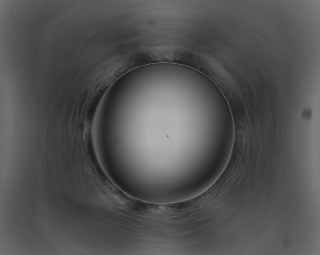 X0000091180125200708231537