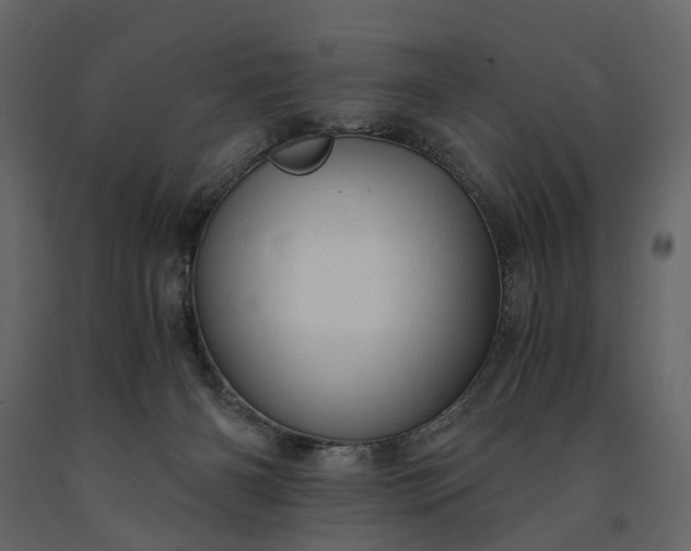 X0000091180126200708231537