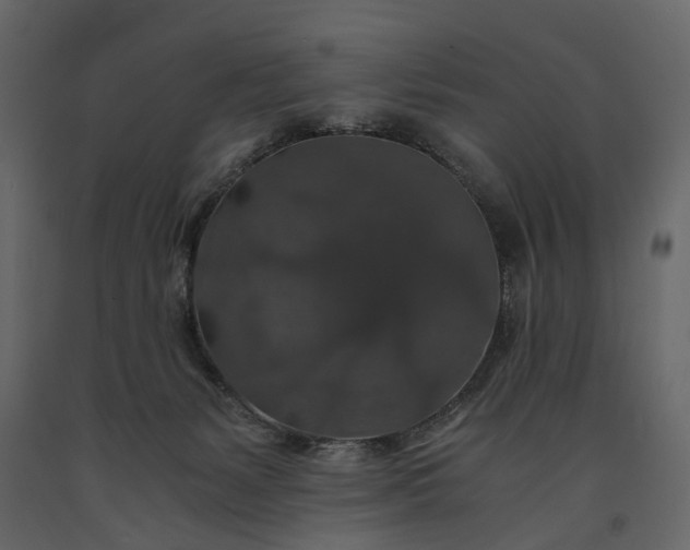 X0000091180127200708231537