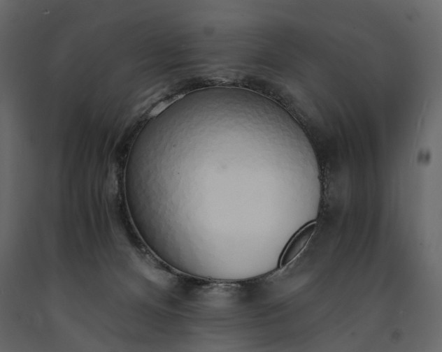 X0000091180128200708231537