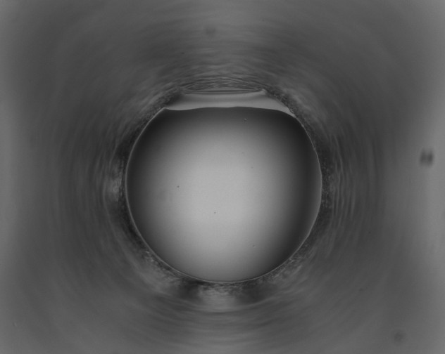 X0000091180129200708231537