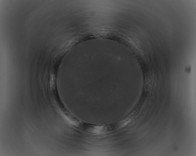 X0000091180130200708231537