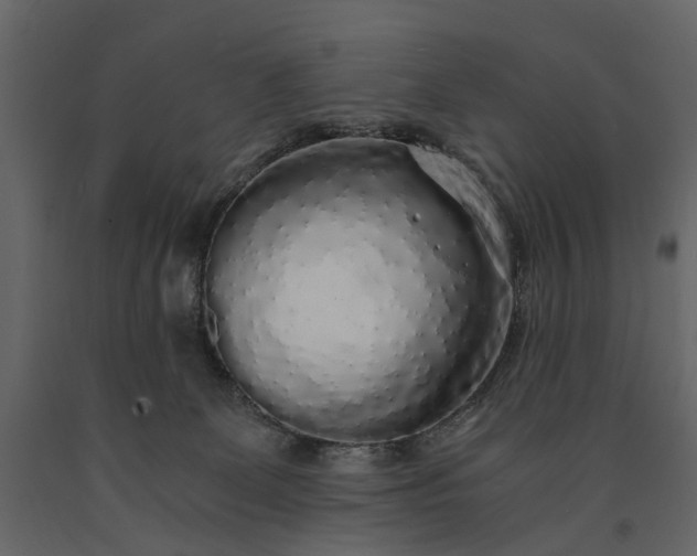 X0000091180131200708231537