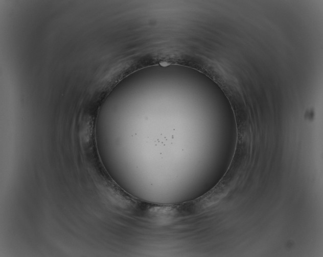 X0000091180133200708231537