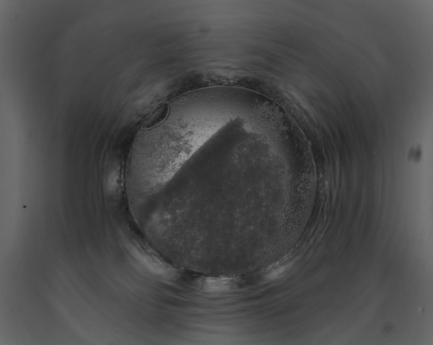 X0000091180134200708231537