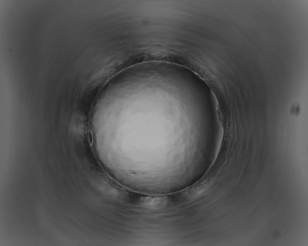 X0000091180135200708231537