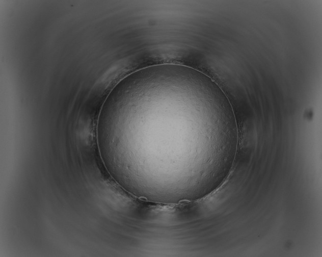 X0000091180140200708231537