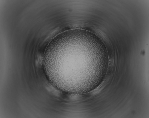 X0000091180142200708231537