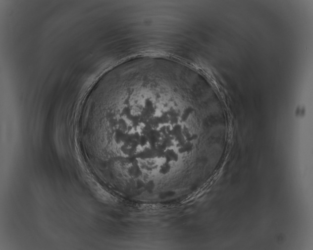 X0000091180145200708231536