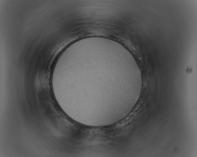 X0000091180146200708231536