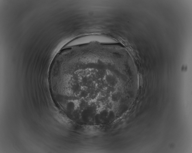 X0000091180147200708231536