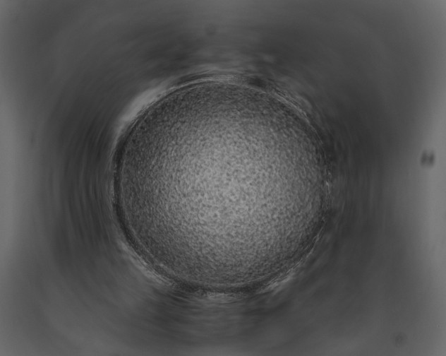 X0000091180149200708231536