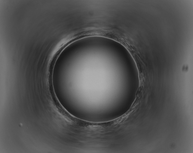 X0000091180150200708231536