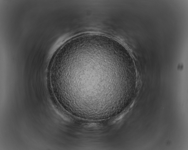 X0000091180151200708231536