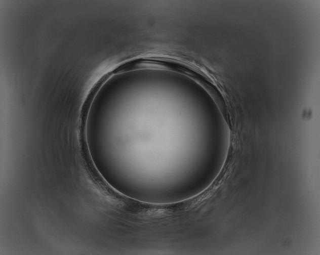 X0000091180152200708231536