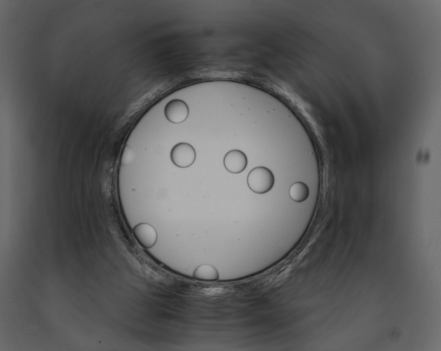 X0000091180153200708231536