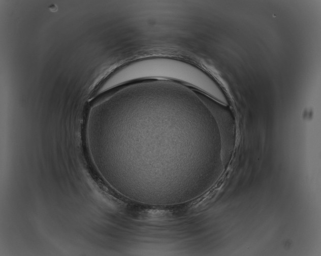 X0000091180154200708231536