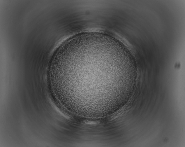 X0000091180155200708231536