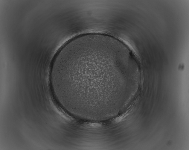 X0000091180156200708231536