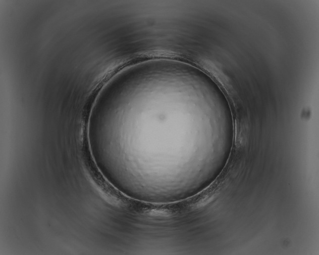 X0000091180157200708231537