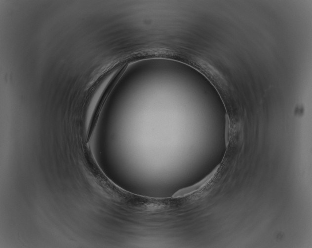 X0000091180158200708231537