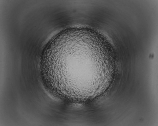 X0000091180159200708231537