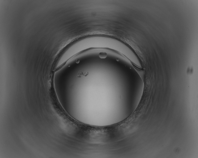 X0000091180160200708231537