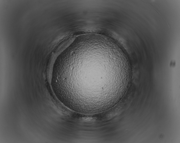 X0000091180161200708231537