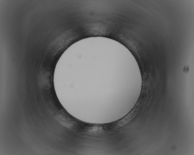 X0000091180162200708231537