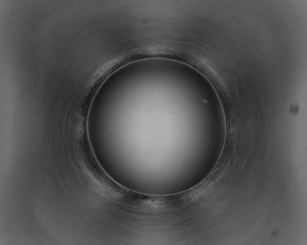 X0000091180164200708231537