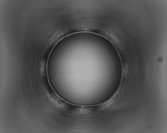 X0000091180166200708231537