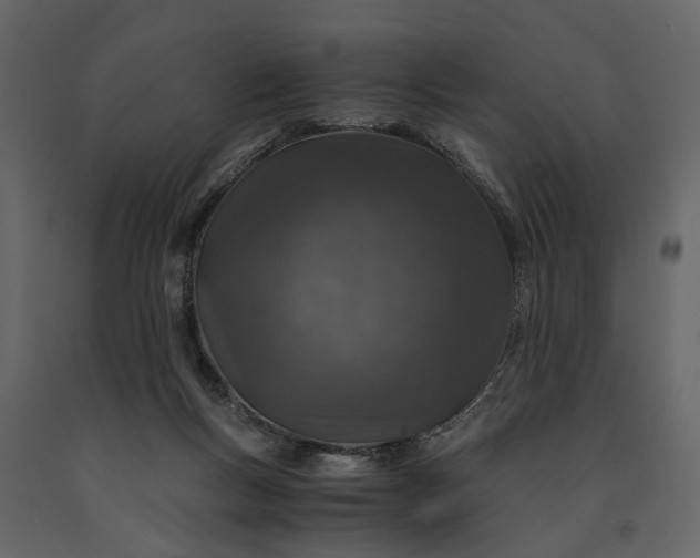 X0000091180167200708231537