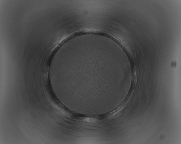 X0000091180168200708231537