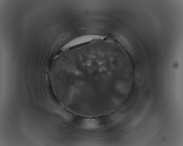 X0000091180169200708231537