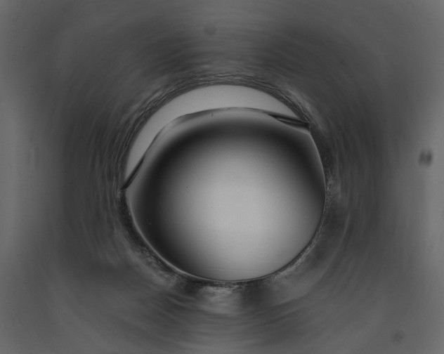 X0000091180170200708231537