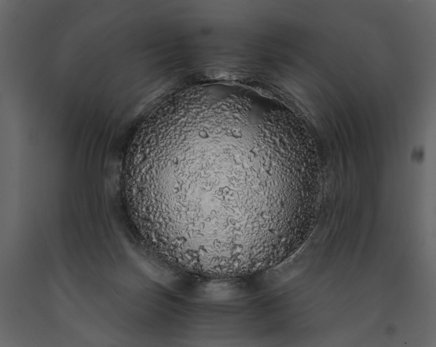 X0000091180171200708231537