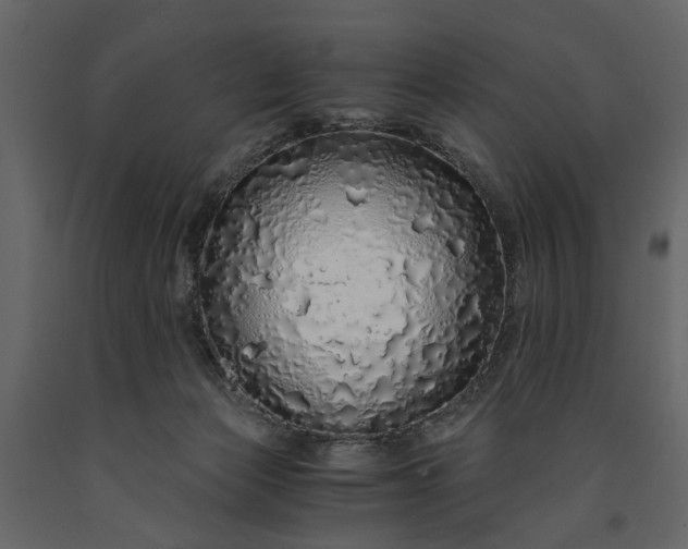 X0000091180173200708231537