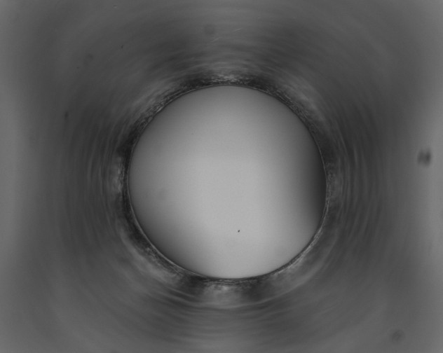 X0000091180174200708231537