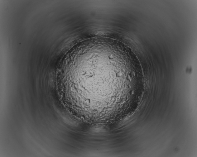 X0000091180175200708231537