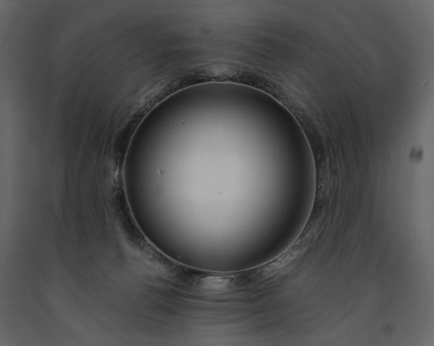 X0000091180176200708231537