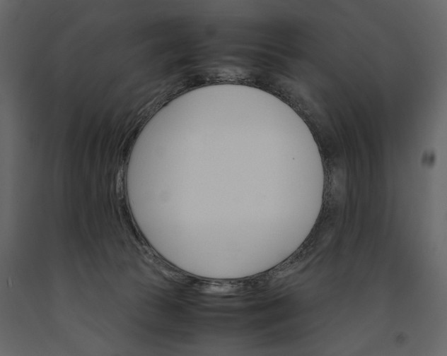 X0000091180177200708231537