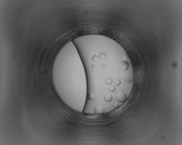 X0000091180178200708231537