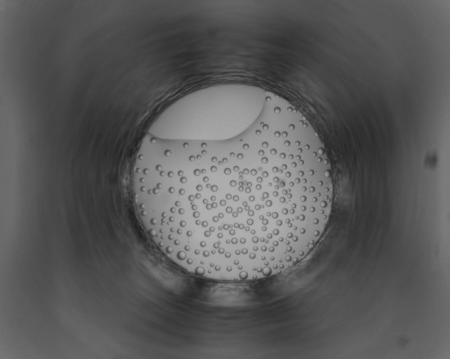 X0000091180179200708231537